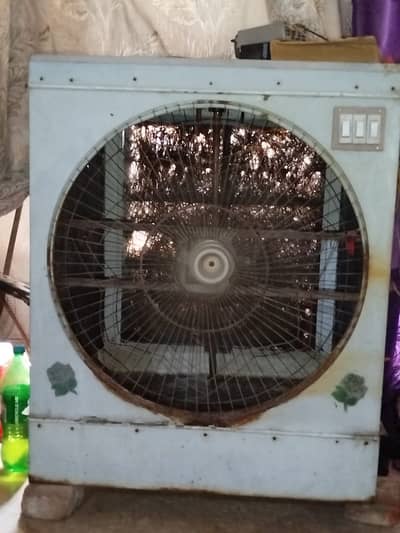 DC Cooler Jumbo For Sale