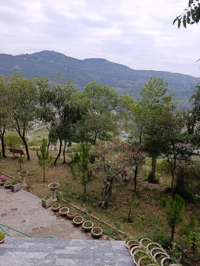 1 Kanal Residential Plot for Sale Abbottabad Township Scheme UADA Approved - Sector C