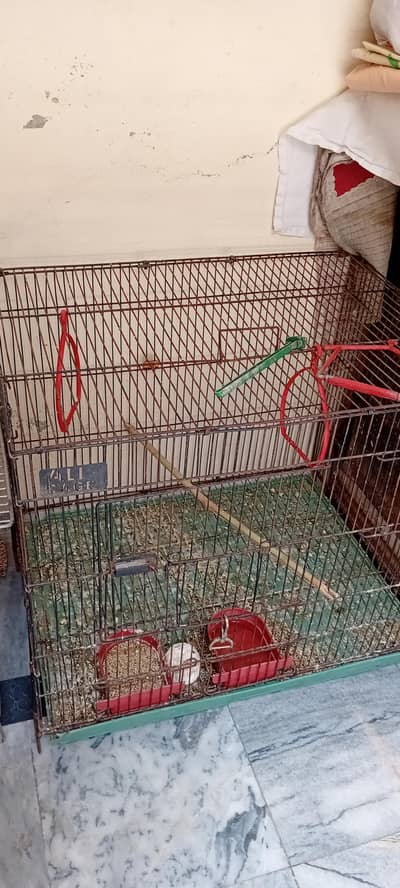 parrots cages