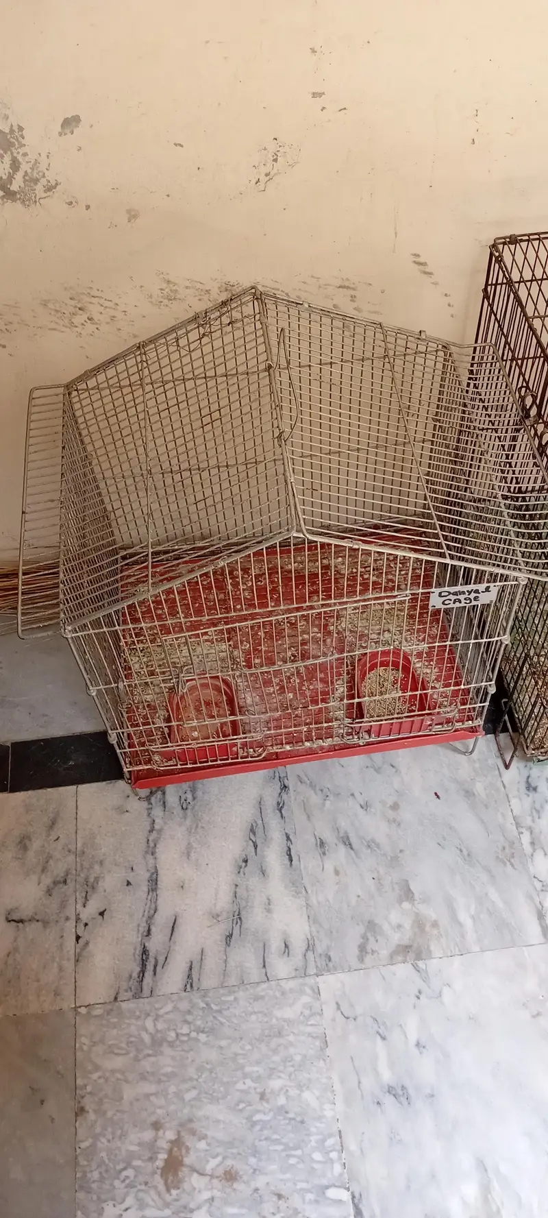 parrots cages — photo 4