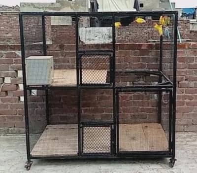 Birds Cage