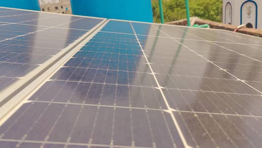 longi solar panels 03 plates