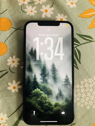 Apple iPhone 12 Pro Max
