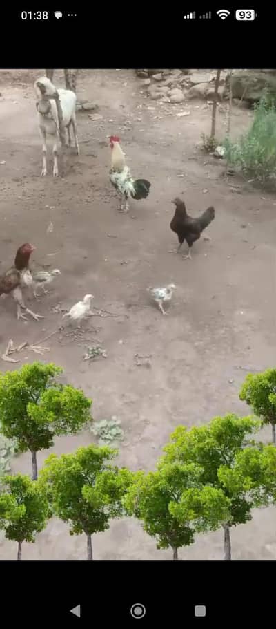 char hands ande deti hai group bhi behti hai aur ek Mel hai Sath aur