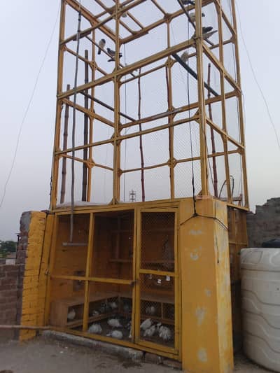 Jaal for sale new condition 1.5 inch size All wood 03070698974
