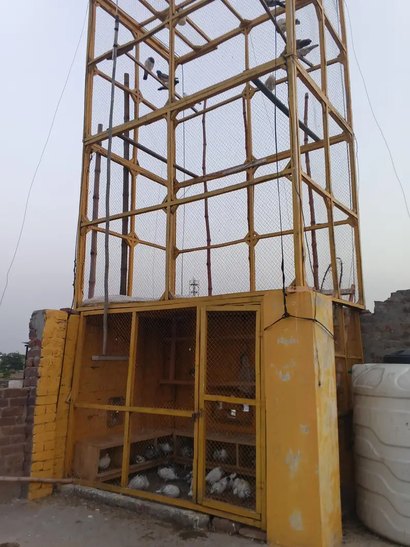 Jaal for sale new condition 1.5 inch size All wood 03070698974