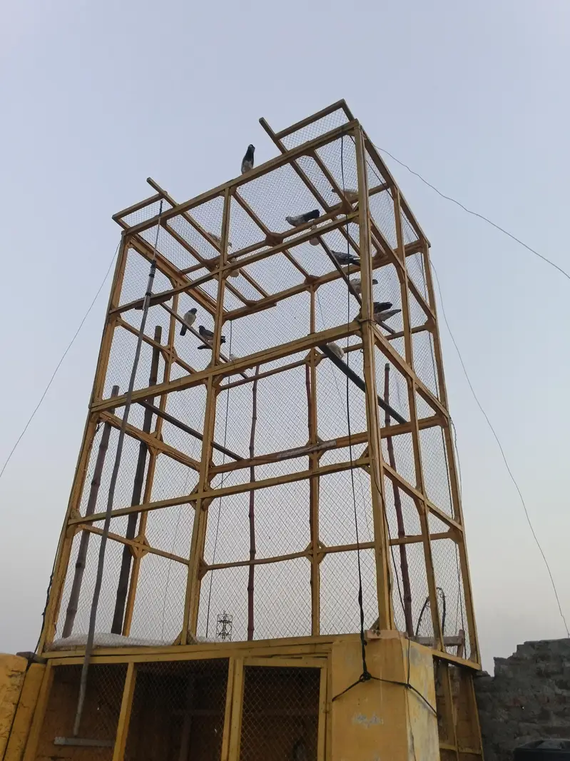 Jaal for sale new condition 1.5 inch size All wood 03070698974 — photo 3