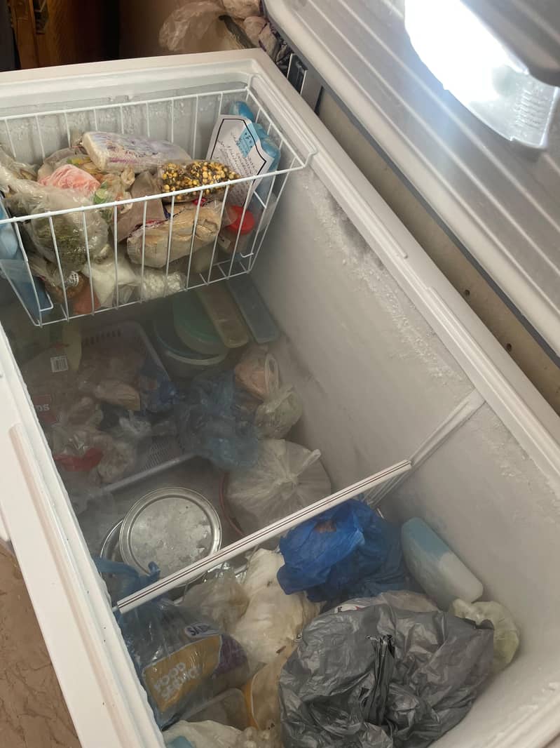 Dawlance Deep Freezer 2