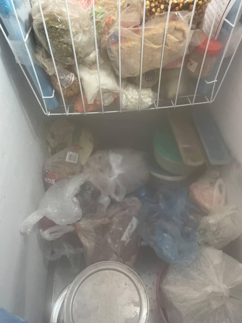Dawlance Deep Freezer 3