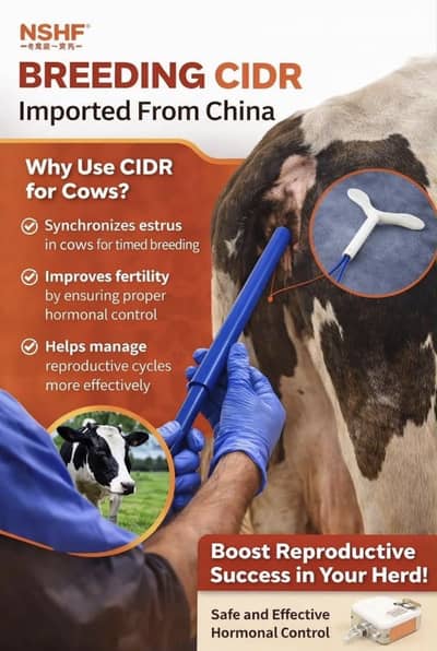 CIDR for Cow, Buffalo Goat Sheep. use if animal not coming into heat