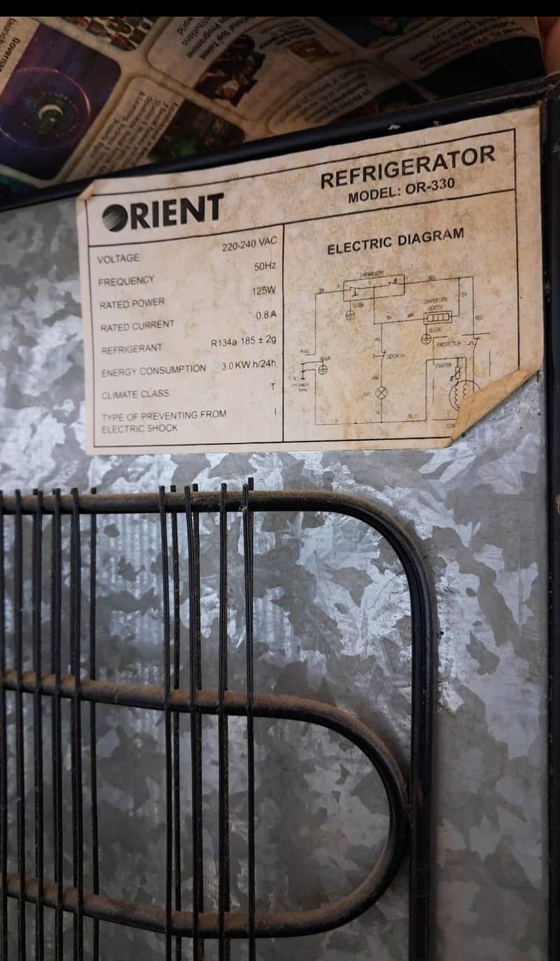 orient 6