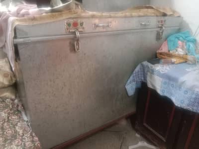 jisti peti with stand