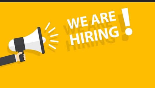 online jobs/full time/part time/simple typing jobs for boys and girls