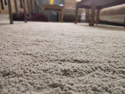 carpet