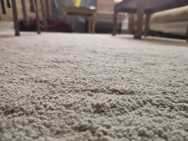 carpet 0