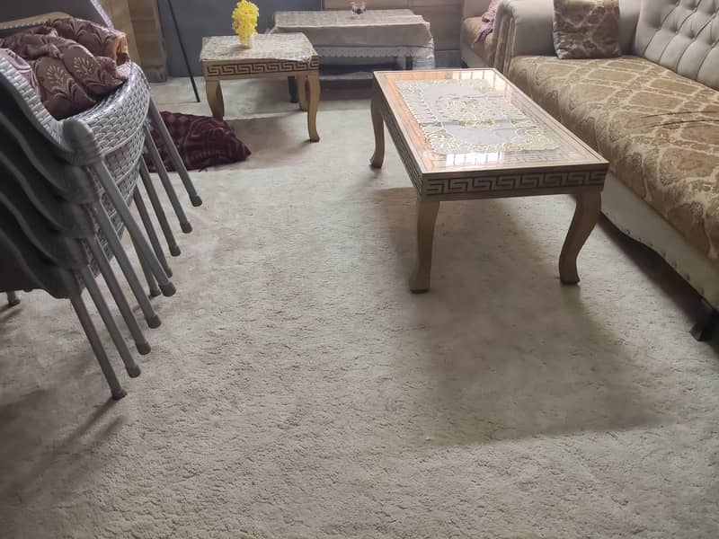 carpet 1