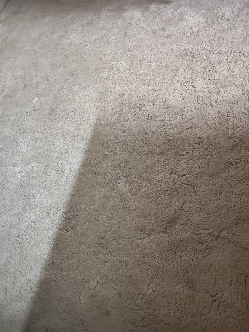 carpet 2