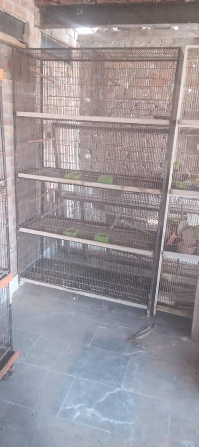 bird cage for sale