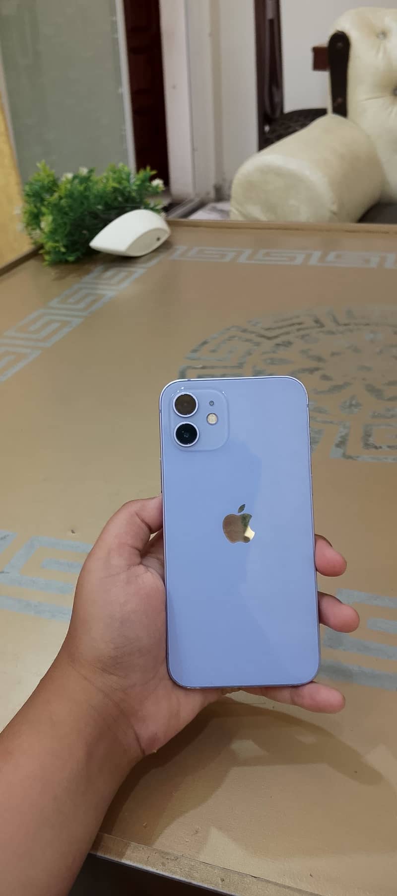 Apple iPhone 12 0