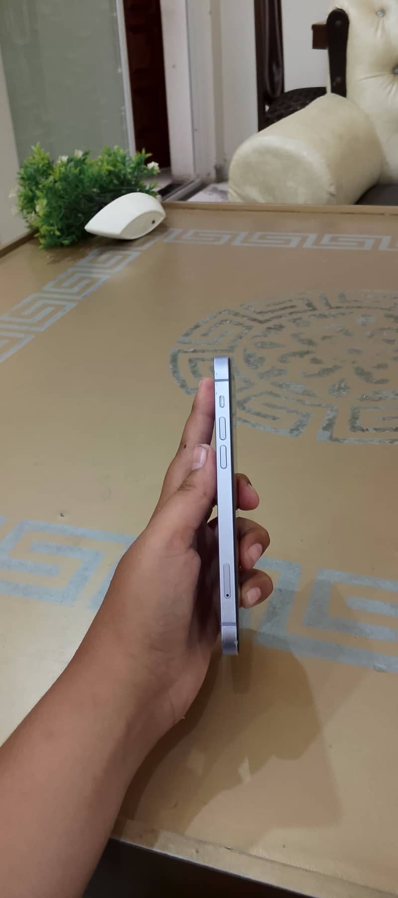 Apple iPhone 12 1
