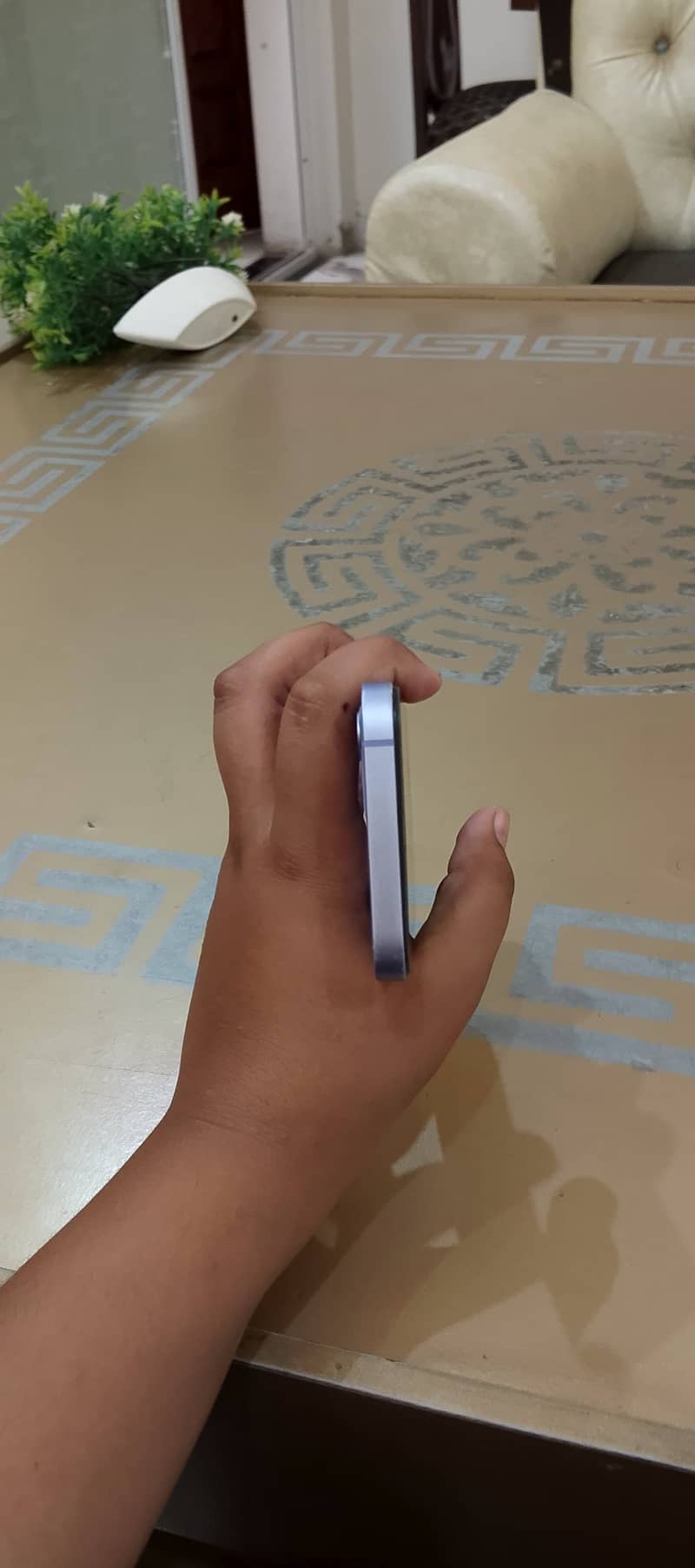Apple iPhone 12 5