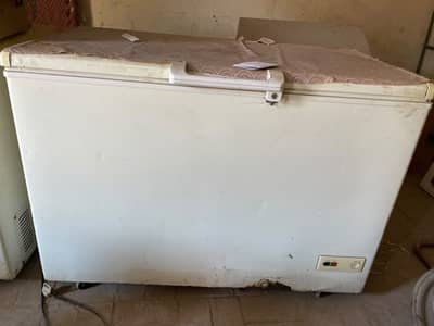Single door freezer