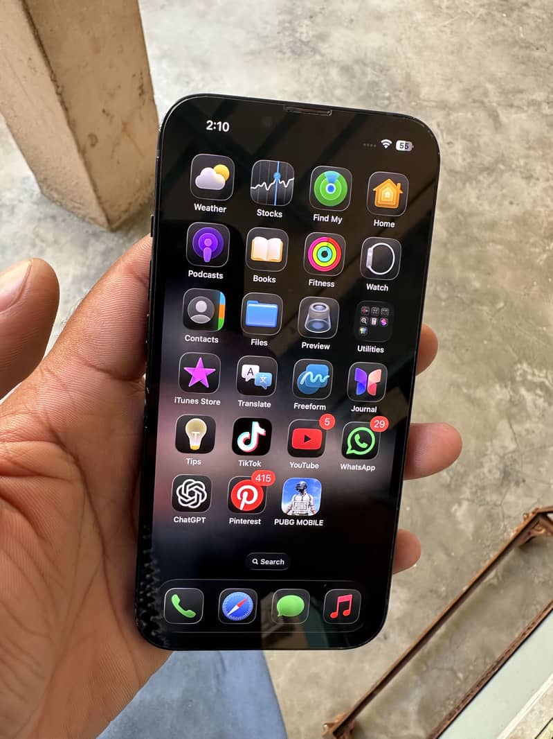 Apple iPhone 13 0