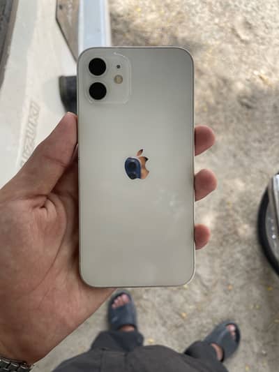 IPhone 12 proved