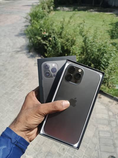 Apple iPhone 13 Pro Max