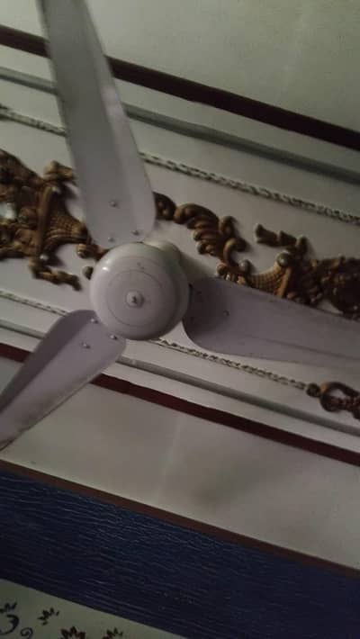 SK fan