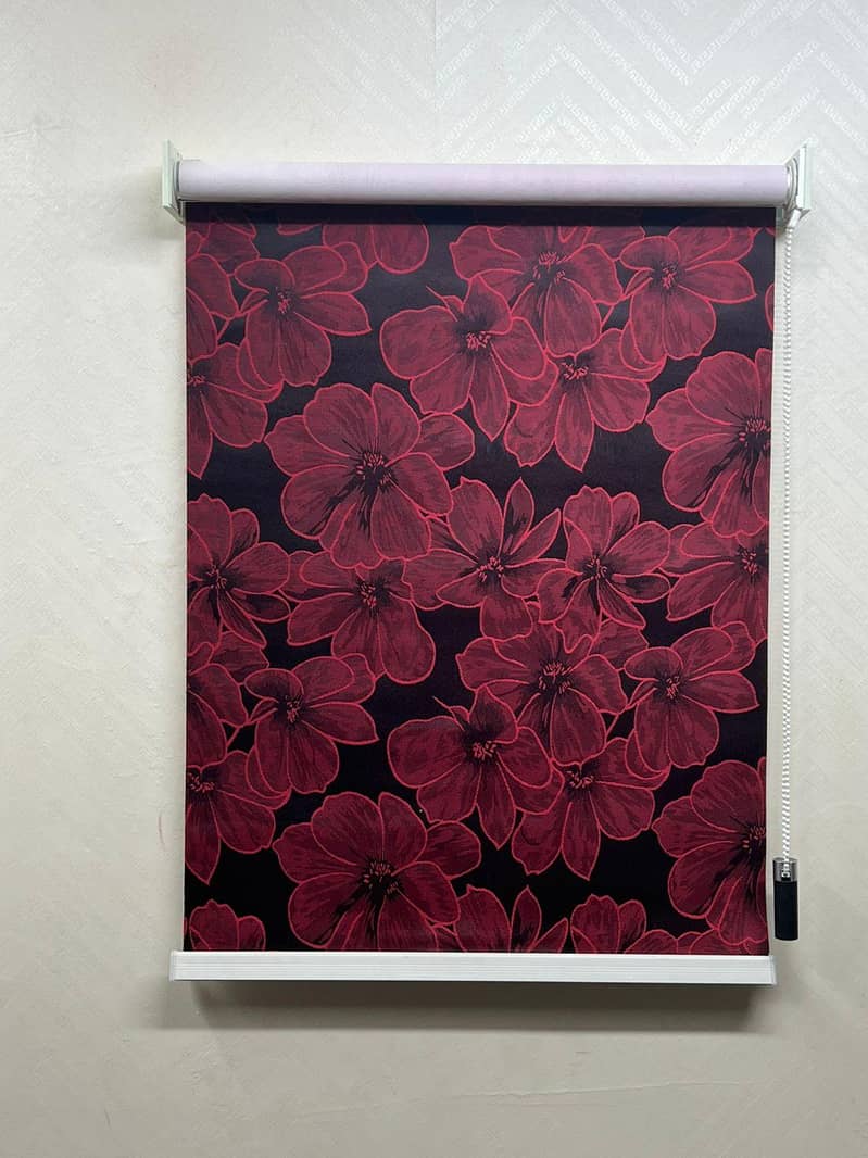 window blinds 2