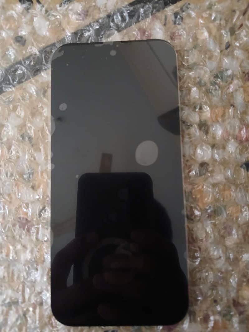 Google Pixel 9 Pro panel 1