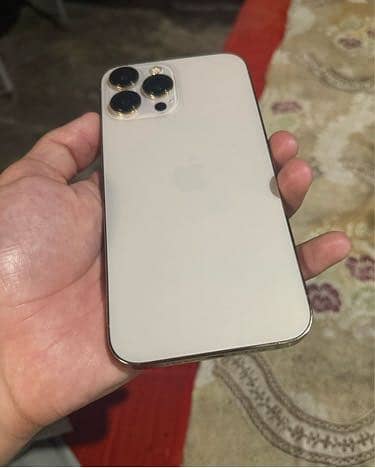 Apple iPhone 13 Pro Max