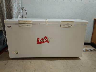 Waves Triplet Freezer