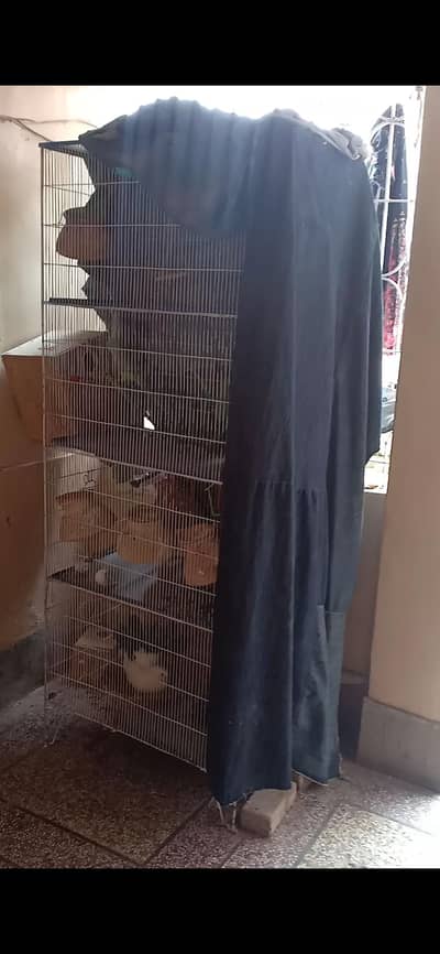 cage with parrots