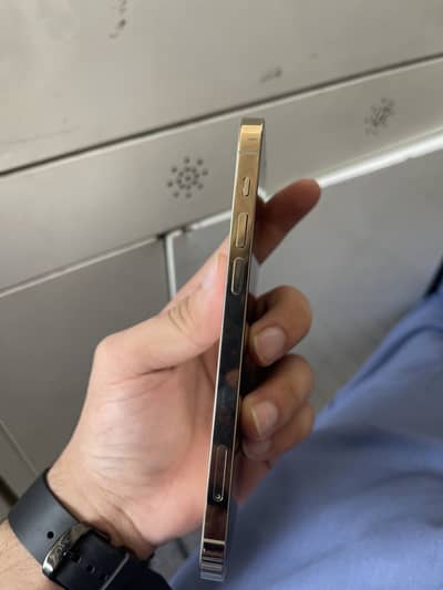 Apple iPhone 12 Pro
