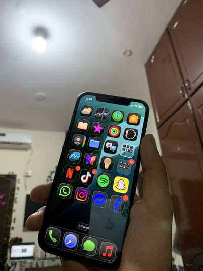 Apple iPhone 12 Pro PTA
