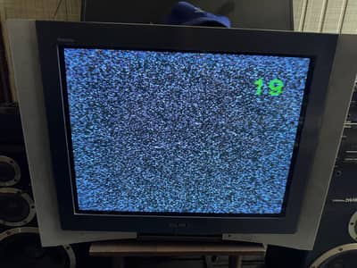LG or Sony tv