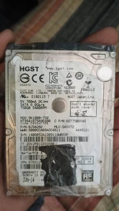 HGST 750GB Hard Disk