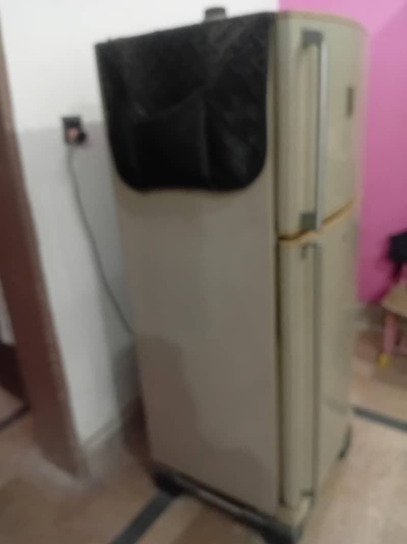 medium size 1