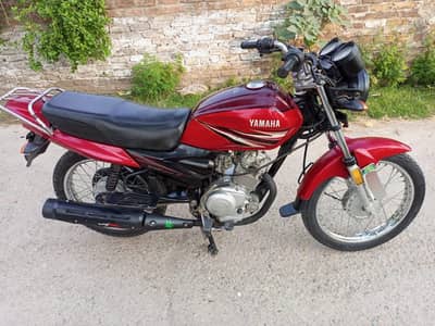 YBZ 2018 03219599697