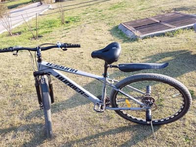 Hamber cycle 29 inch