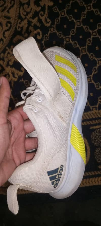Addidas Original Cricket Spikes