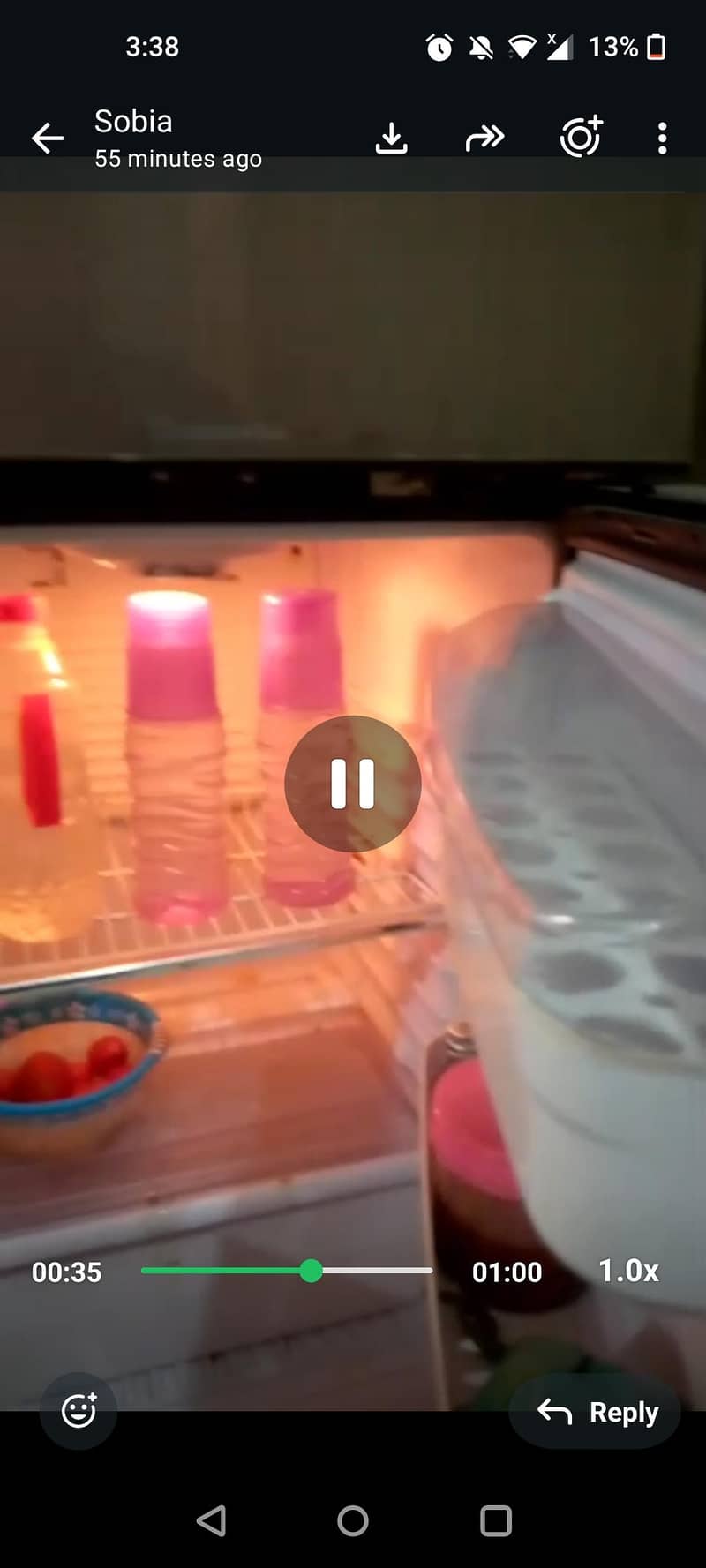 frige 1