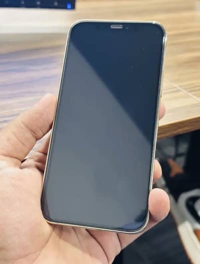 iPhone 12 Pro pta