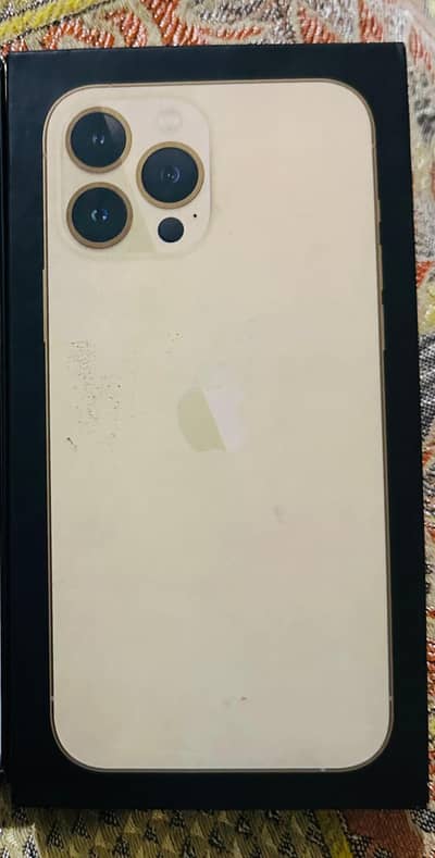 Apple iPhone 13 Pro Max