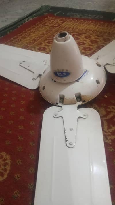 Pak ceiling Fan