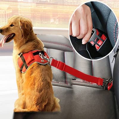 SafeRide Luxe — Adjustable Premium Pet Car Safety Belt