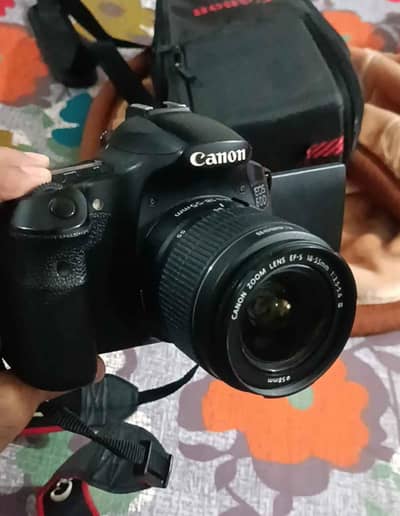 Canon 60/D