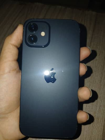 Apple iPhone 12